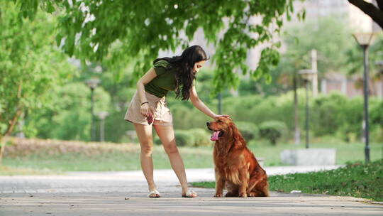 美女和金毛犬在夏天公园里玩耍