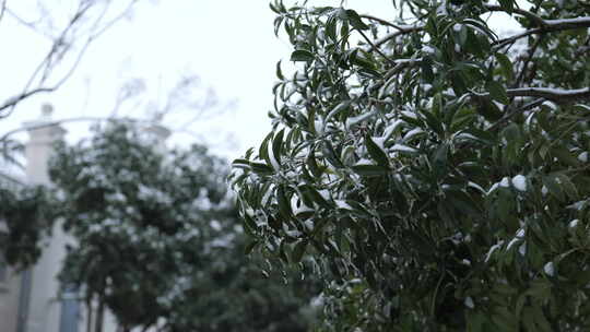 武汉武昌红巷五大会址雪景