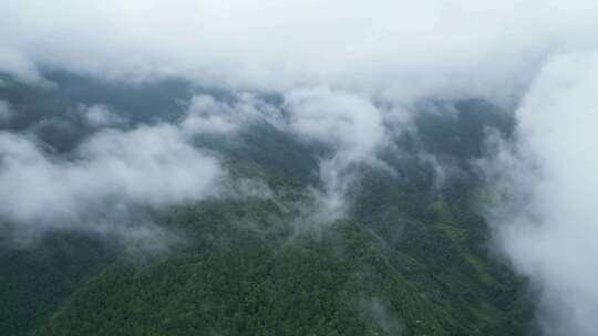 山间云雾，云雾缭绕的山，雨后的山