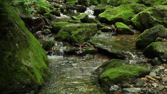 绿石青苔小溪流水