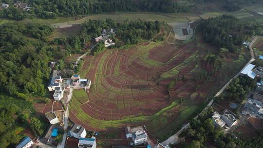 乡村振兴视频云南山区农业耕地圆形图案