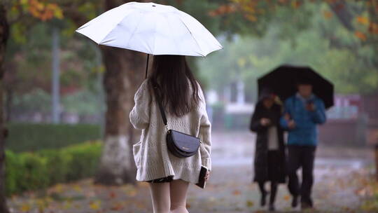 秋天-年轻女孩打伞的背影视频素材模板下载