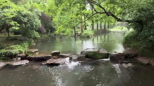 雨天树林中的小溪流，雨滴落在水面上视频素材模板下载