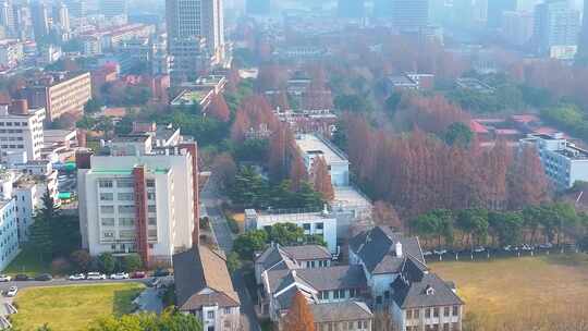 上海复旦大学邯郸校区航拍校园风景风光素材