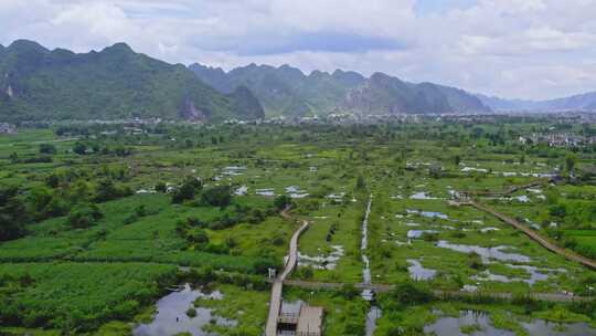 航拍湿地公园