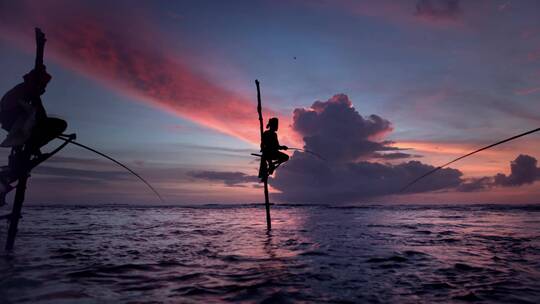 斯里兰卡的高跷渔夫视频素材模板下载