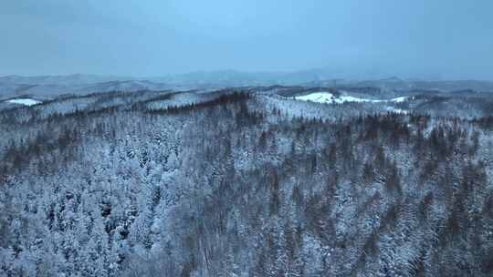 航拍东北下暴雪林海雪原威虎山