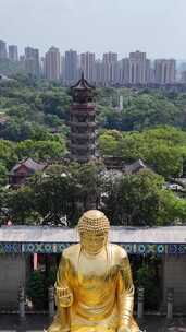 竖屏航拍重庆华岩旅游风景区华岩寺