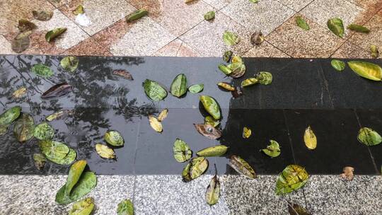 大雨过后的小路