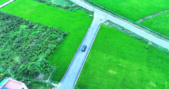 特斯拉田间道路行驶