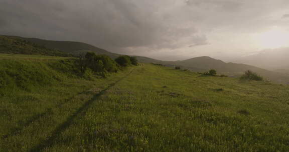 佐治亚州乌云密布的高地上的绿色草地。空中撤退