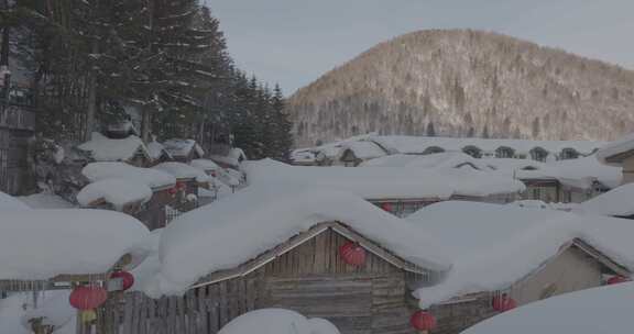 雪乡雪蘑菇