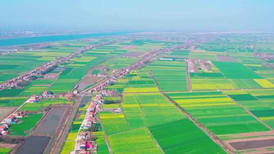 航拍美丽乡村，江汉平原农田风光小麦地农村