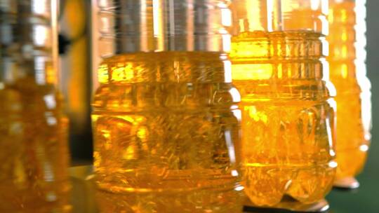 生产线上罐装的葵花籽油