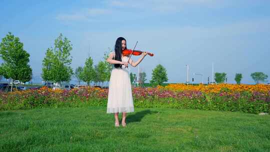 美女花海中拉小提琴