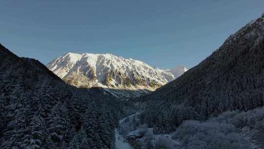 航拍被白雪覆盖的森林