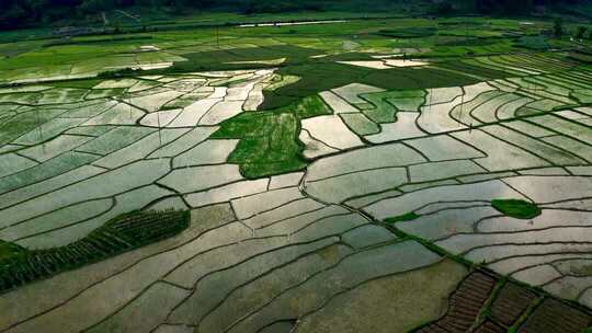 云南腾冲一望无际的稻田夕阳下的乡村稻田