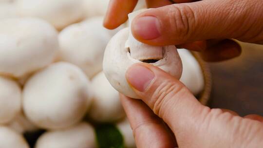 新鲜口蘑菇