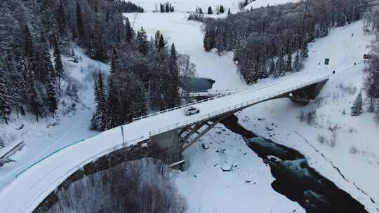 新疆喀纳斯冰河森林公路汽车航拍视频素材模板下载