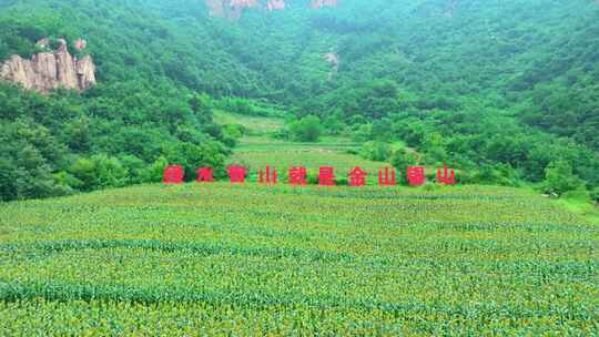 祖国大好河山绿水青山就是金山银山