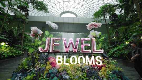 新加坡 jewel blooms