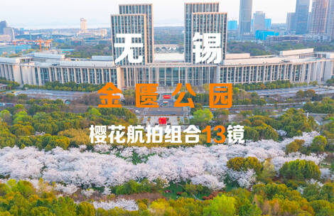 无锡金匮公园樱花航拍组合13镜