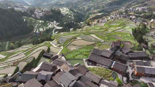 贵州黔东南自治州肇兴堂安梯田航拍风光