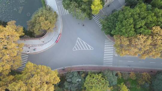 航拍大学校园秋天交通路口道路