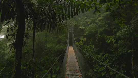 森林里的铁索桥视频素材模板下载
