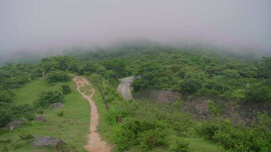 香港大帽山郊野公园，雾天云雾流动