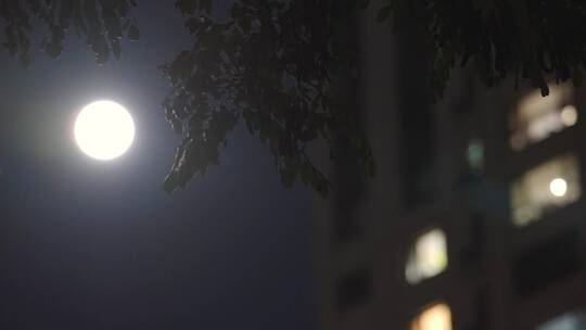 夜晚月亮-城市上空月亮升起-中秋月亮