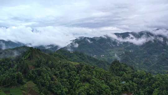 大雾清晨云雾大山云海森林自然云山脉山区