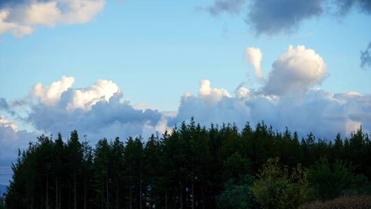 树林森林高山云彩彩云延时摄影