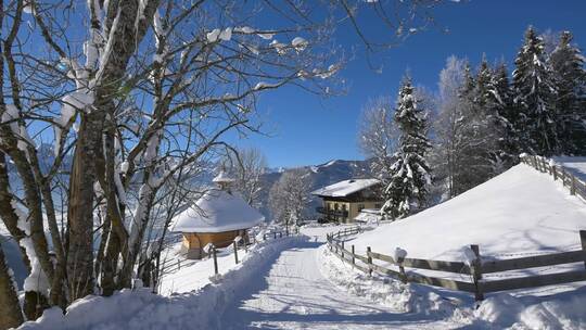 4K冬日冬季滑雪雪景雪山树林湖面云彩海面