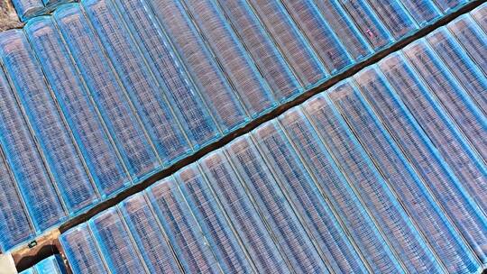 航拍大棚种植基地 农业