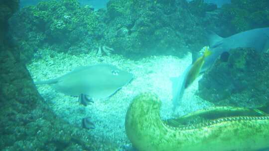 海洋世界水族馆