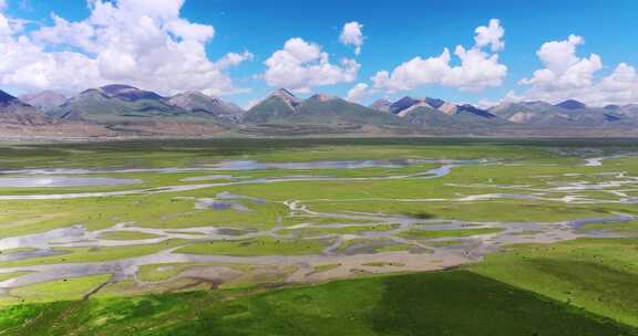 西藏雪山脚下草原上河流边的牦牛群唯美航拍