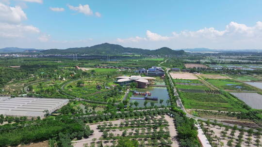 乡村振兴宣传空镜稻田村居旅游产业