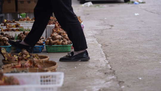 云南野生菌交易市场