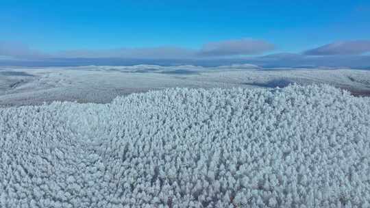 航拍大兴安岭冬日梦幻绝美雾凇雪凇