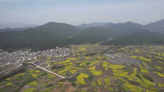 油菜花开 宣城市绩溪县伏岭村风光航拍素材