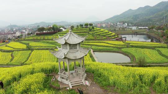 东阳象田村油菜花海风光 航拍