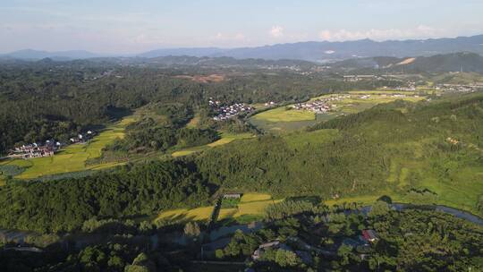 航拍美丽乡村田园农业种植金黄稻田