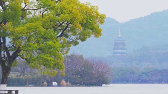 杭州西湖孤山路风景