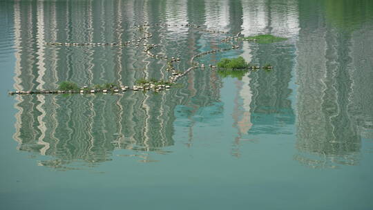 武汉市汉阳区墨水湖公园