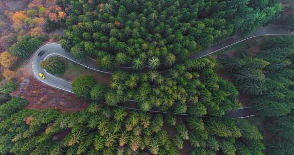 穿过山林的道路航拍