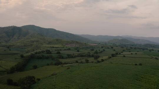 高山田野