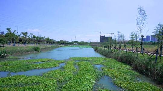 武汉洪山杨春湖城市生态公园4K视频合集