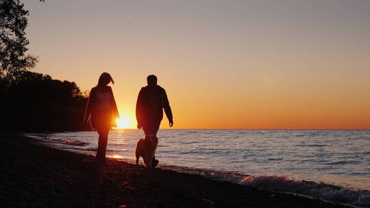 日落时海滩上遛狗的夫妇
