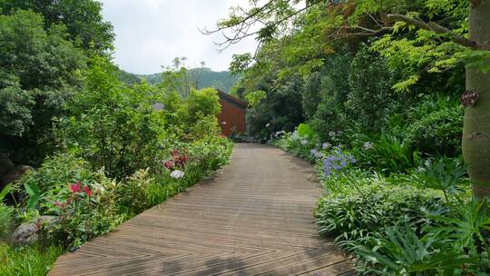 花园公园林间小路观光步道栈道